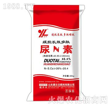 L(zhng)Ч--?tng)? width=