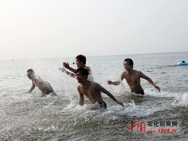海上追逐