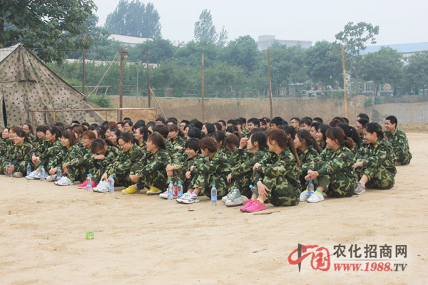 團隊協作,極其重要