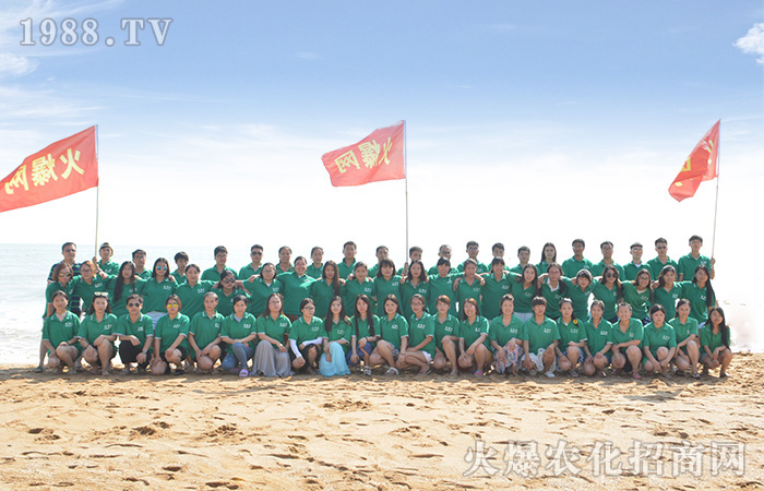 愛上這個夏天:陽光沙灘比基尼和藍天