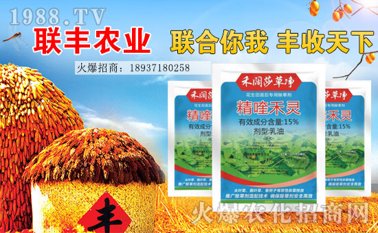 【聯豐農業】祝大家2017年心想事成,工作順利,闔家歡樂!