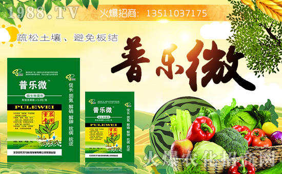 北京中農天馬科技發展有限公司
