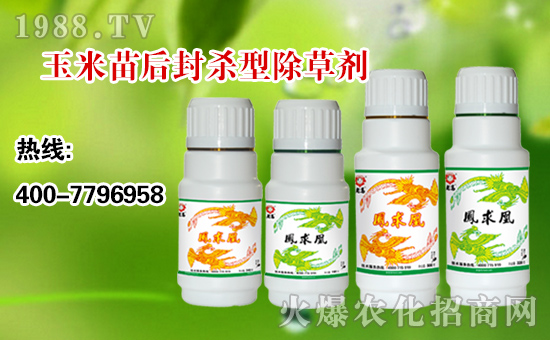 【順天農業】祝大家:幸福萬年長,快樂無邊疆,好運更健康!