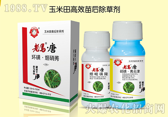 【順天農業】祝大家:幸福萬年長,快樂無邊疆,好運更健康!