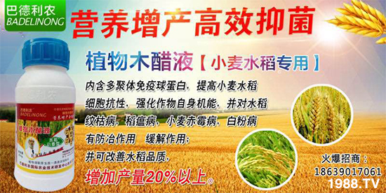 ZrIƼ޹˾