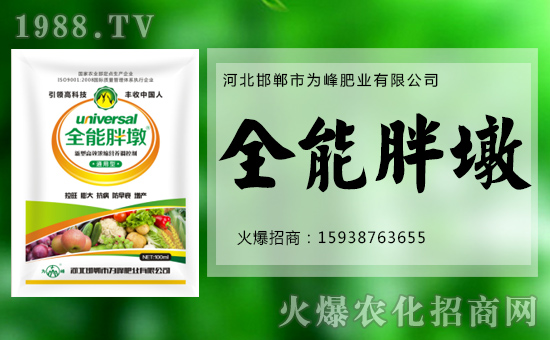 【為峰肥業】給您拜年啦!祝您新春大吉,萬事如意!