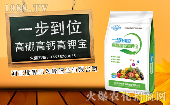 【為峰肥業】給您拜年啦!祝您新春大吉,萬事如意!
