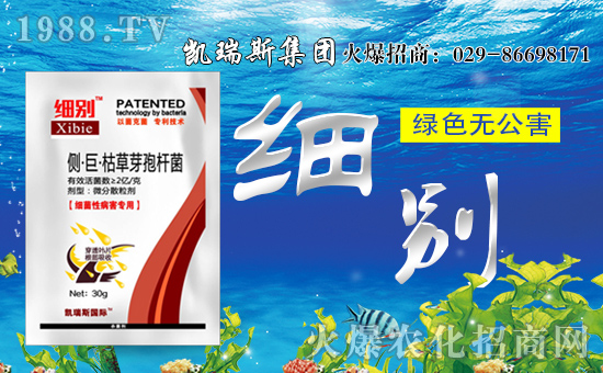 【凱瑞斯集團】祝大家生意興隆!闔家歡樂!