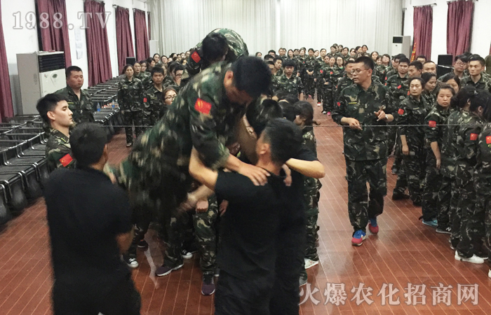2017動能覺醒培訓總結