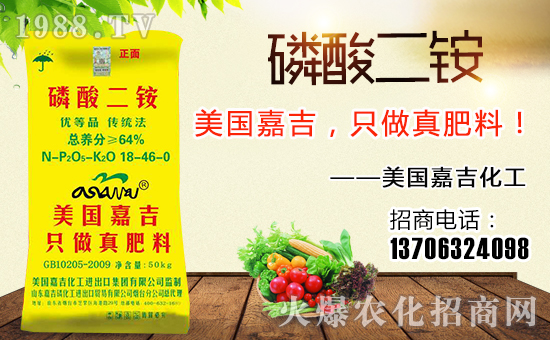 美國嘉吉化工進出口集團有限公司