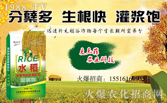 【麥克菲農業】祝大家狗年大吉,萬事如意!