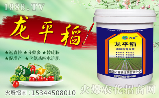 【德國萬容】全體員工恭祝全國經銷商身體健康,狗年發大財!