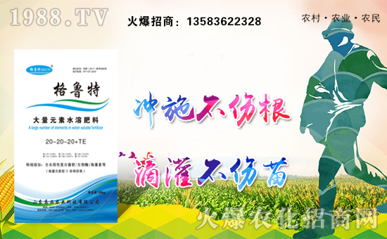 【山東高品】祝全國(guó)朋友幸福安康,萬(wàn)事如意!