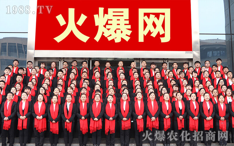 十年火爆網,攜手共成長