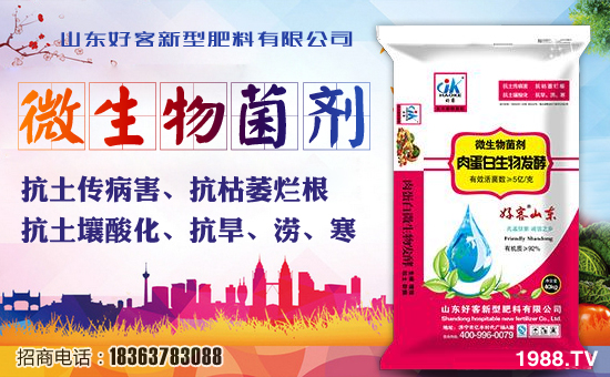 十年,不畏將來,不念過往,秉持心氣,何懼遠方!