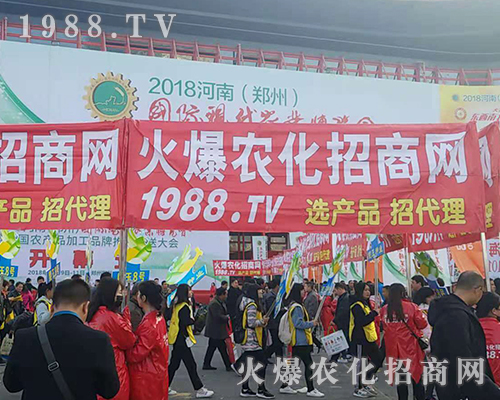     2018rˎ1988.TVȫԸ