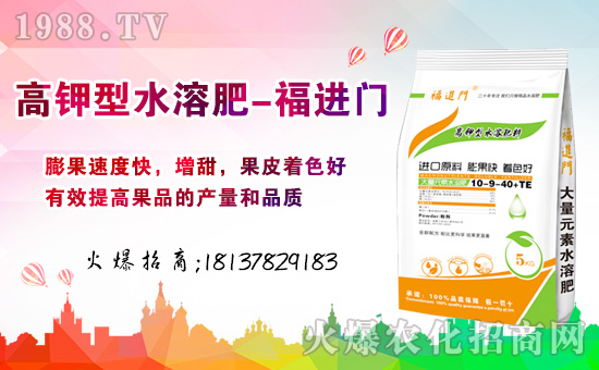 春節到,財神到!幸運之神伴隨著我的祝福到,新的一年更加珍重,明年生活錦上添花,福進門水溶肥祝福您新年大發!