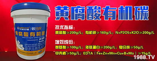 【山東萬瑞谷德】全體員工給農資經銷商朋友們拜年啦!