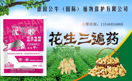 【德國公牛】祝大家在新的一年里工作順利,步步高升!