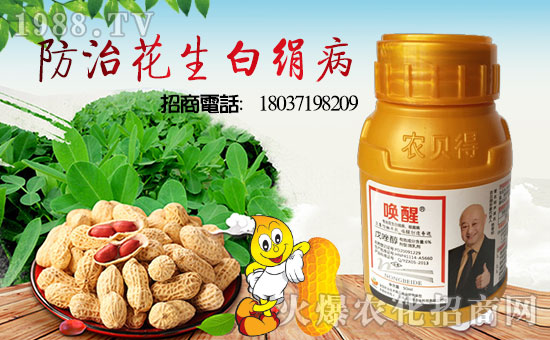 【河南農貝得】恭祝新老客戶狗年行大運,財源滾滾來!