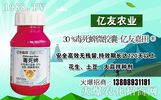 【濟南億友農業】祝全國朋友在新的一年里幸福美滿,闔家歡樂!