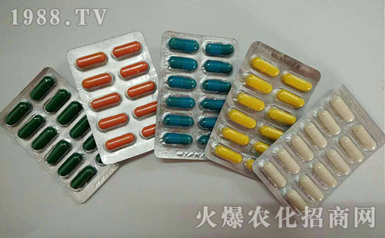 【巨人城生物】全體員工祝大家吉祥發財,心想事成!