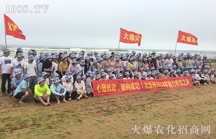 海風里的似水流年