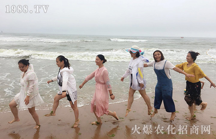 青島兩日游心得總結