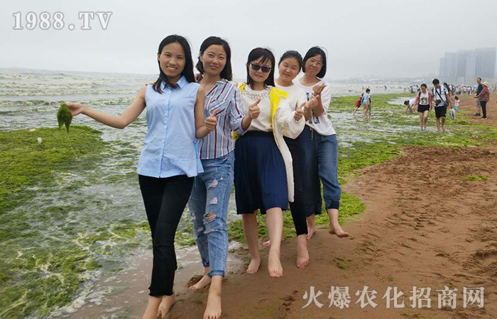 青島兩日游心得總結