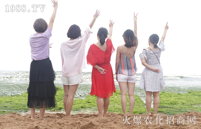 碧海藍天 就是遠方