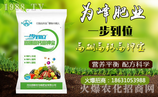 【為峰肥業】祝全國朋友在新的一年里幸福美滿,闔家歡樂!