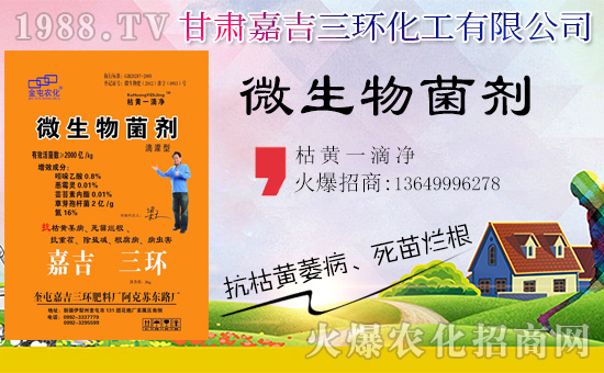 【嘉吉三環】祝大家在新的一年里工作順利,步步高升!