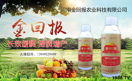 【金回報農業】祝大家在新的一年里身體健康!心想事成!萬事如意!