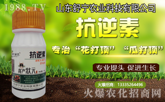 【舒寧農業】所有新老客戶新春快樂,福壽安康!