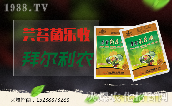 【拜爾利農】恭祝大家新年事事順利!家家吉祥!