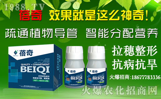 【騰豐農業】祝大家在新的一年里財源滾滾,生意興隆!