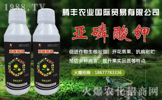 【騰豐農業】祝大家在新的一年里財源滾滾,生意興隆!