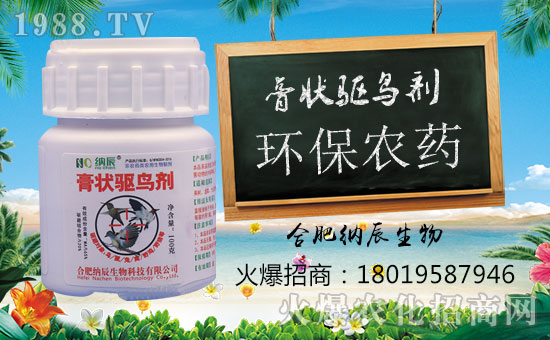 【納辰生物】祝您豬年行大運,財運滾滾來!