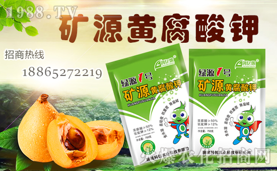 【科創農業】全體員工恭祝全國經銷商身體健康,豬年行大運!