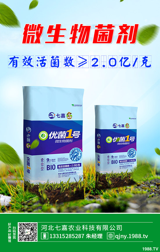 荷蘭豆什么時候種植好,荷蘭豆種植技術!