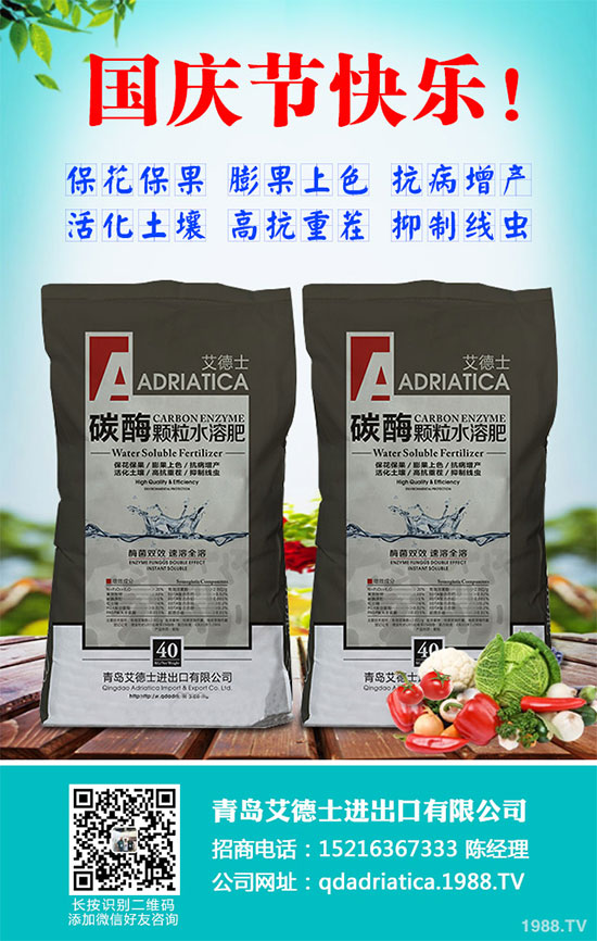 香蔥連作危害大,到底該如何解決?香蔥連作障礙及高產管理技術!