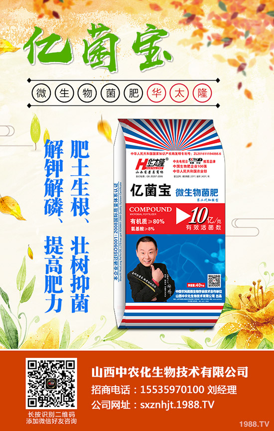 2019年10月18日今日最新國內二銨價格行情走勢