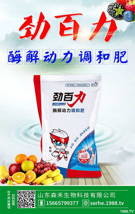 小白菜該怎么播種?秋茬小白菜高產栽培技術