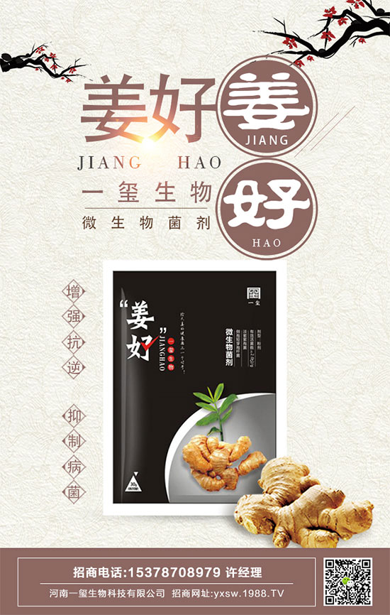 茄子的功效與作用,茄子的營養價值