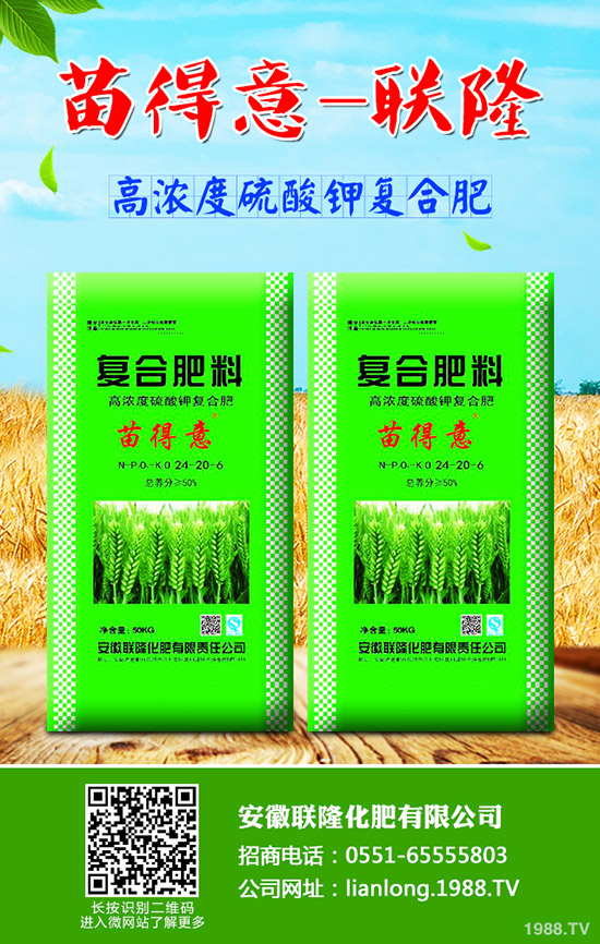 吃牛蒡對身體有什么好處?牛蒡的營養價值及功效!