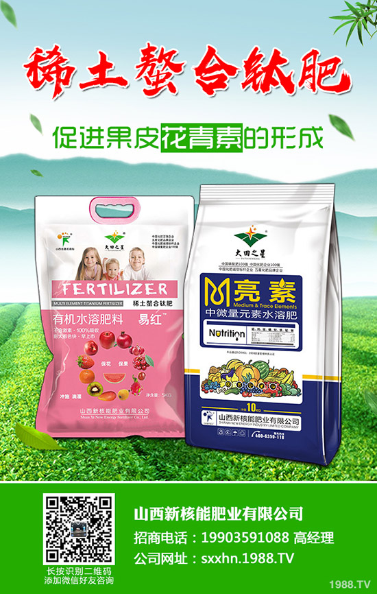 2019年11月上旬最新磷酸二銨價(jià)格行情走勢(shì)綜合分析