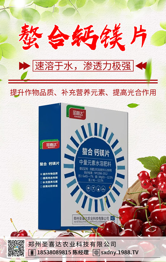 洋薊有哪些營養價值?洋薊的營養價值及功效作用