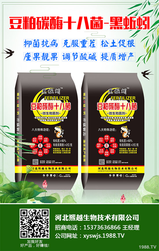 大棚韭菜該怎么種?冬季大棚韭菜種植技術要點