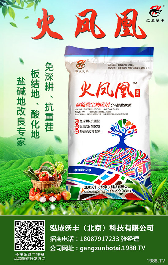     2020NֲٍXôǰӣһͶYЧ