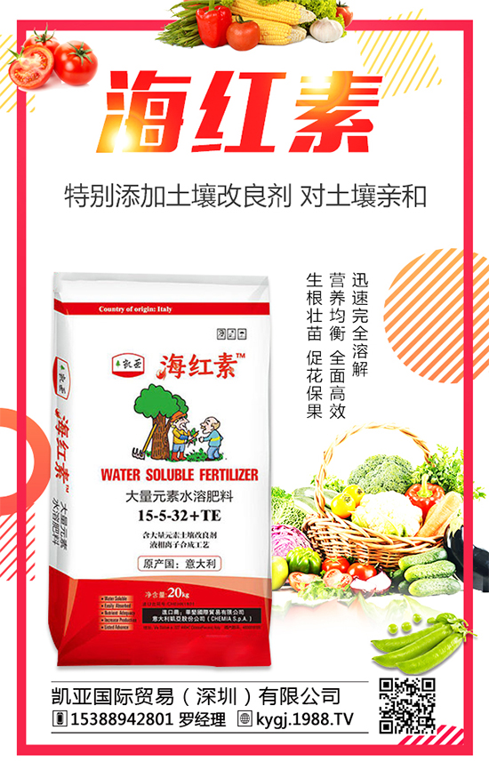 2020年花椒種植前景分析,花椒種植的成本和利潤分析!